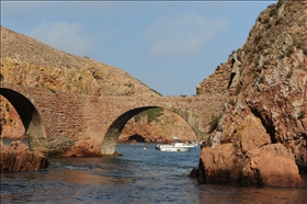 Ilha Berlenga